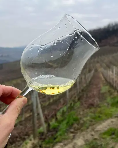Italy, Piedmont, Cascina Sòt - Visit and tasting