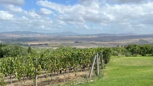 Italy, Tuscany, From Florence - The Val d’Orcia with Brunello wine tasting