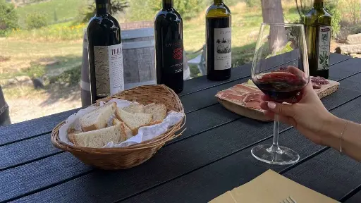 Italy, Tuscany, From Florence - Tuscany Wine Hiking Chianti Classico Day