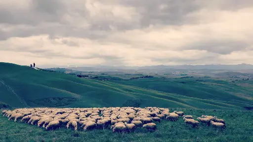 Italy, Tuscany, From Florence - Tuscany Wine Hiking Chianti Classico Day