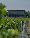 cave-spring-winery-estate-ontario-niagara-canada.webp