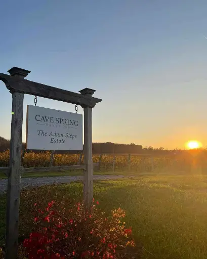 Canada, Ontario, Cave Spring Vineyard - The Terroir Experience