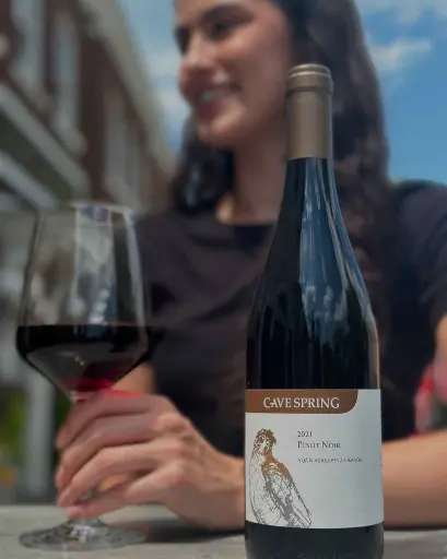 Canada, Ontario, Cave Spring Vineyard - Wine and Cheese