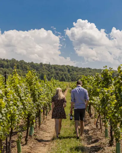 Canada, Ontario, Cave Spring Vineyard - Wine and Cheese