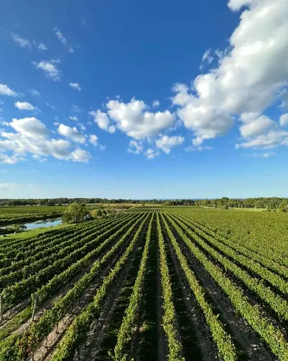 Canada, Ontario, Flat Rock Cellars - The Flat Rock Tasting