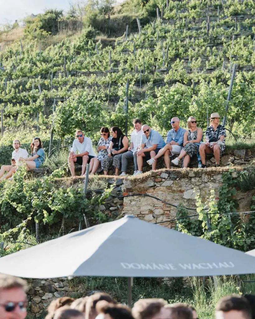 domane-wachau-tou-estate-wachau-winery.webp