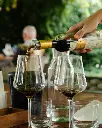 winery-kracher-sweet-wines-tasting.webp
