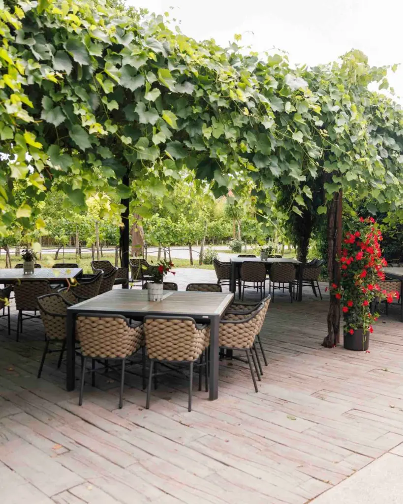 winery-kracher-outdoor-tasting.webp