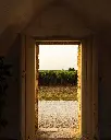 masseria-altemura-lights-of-salento-experience.webp