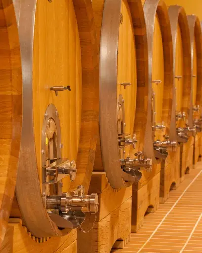 Italy, Veneto, La Dama S.S.A. - Traditions of Valpolicella