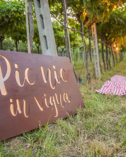 Italy, Veneto, La Dama S.S.A. - Picnic in the vineyards