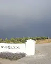 boas-quintas-portugal-wine-experience.webp