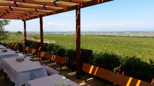 Bulgaria, Thracian Valley, From Plovdiv - From Vine to Table: Discovering Thracian Wines & Countryside Flavors