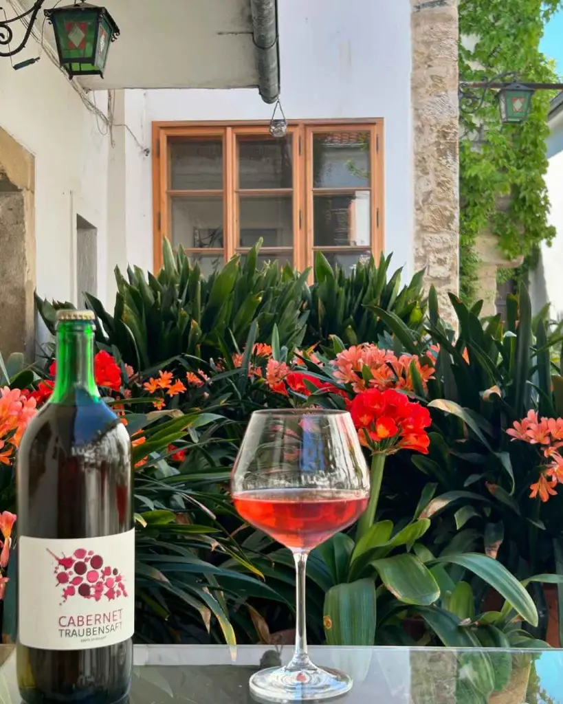 viisit-and-tasting-at-winery-peter-schandl.webp