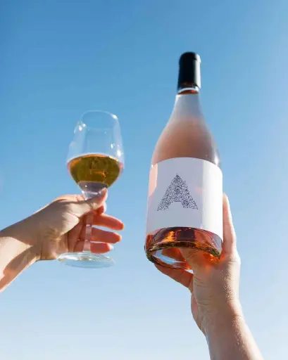 US, California, Napa Valley, Artesa Winery - Taste of Artesa 