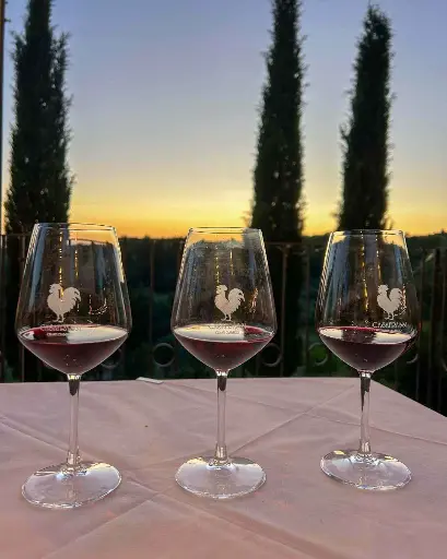 Italy, Tuscany, Tenuta Casafrassi - Chianti Tasting