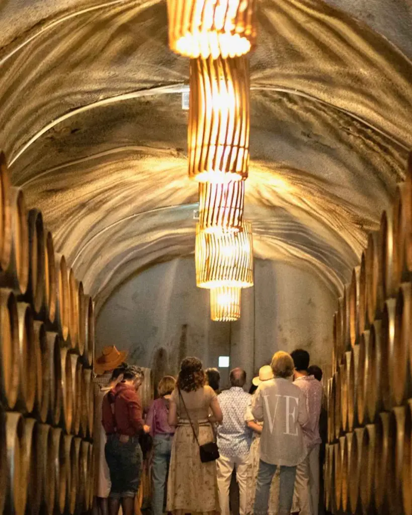 quinta-do-ted-cellar-tour-portugal.webp