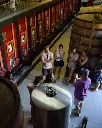 quinta-do-tedo-cellar-visit-portugal-douro.webp
