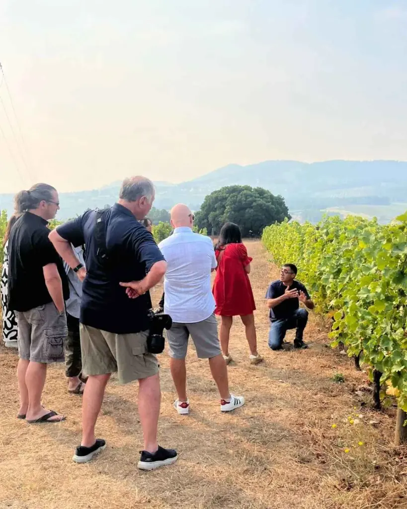 lavradores-de-feitoria-douro-portugal-vineyards.webp