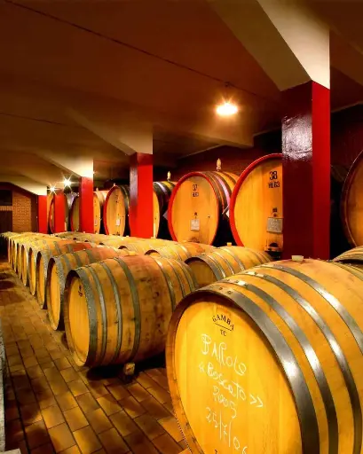 Italy, Piedmont, Bel Colle - Winemaker's Selection
