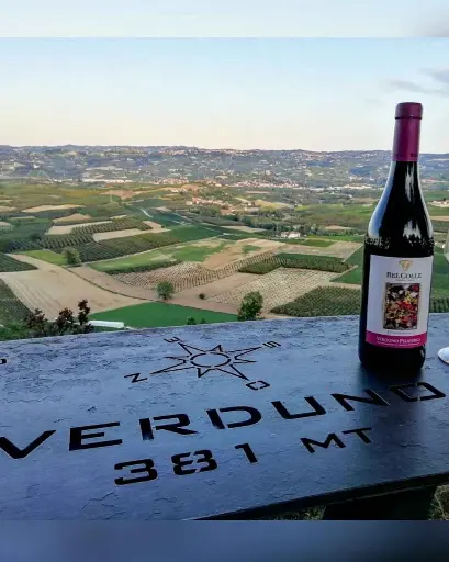 Italy, Piedmont, Bel Colle - Winemaker's Selection