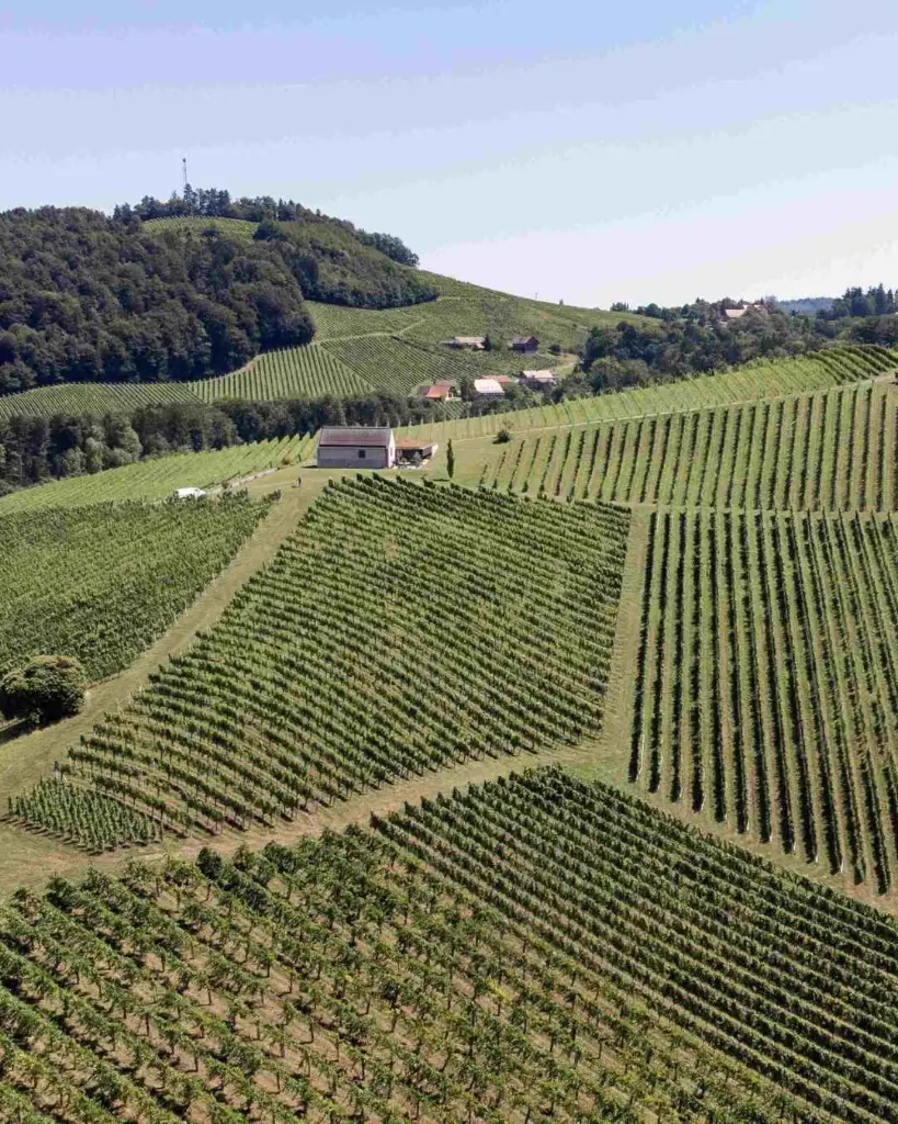 weingut-lackner-austria-visit-and-tasting.webp