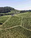 weingut-lackner-austria-visit-and-tasting.webp