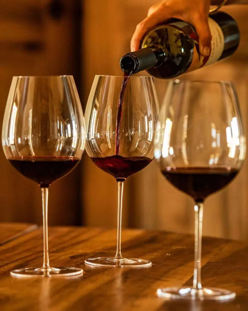 tenuta-il-quinto-organic-wine-tasting.webp
