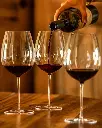 tenuta-il-quinto-organic-wine-tasting.webp