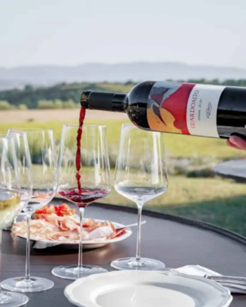tenuta-il-quinto-tuscany-wine-tasting.webp