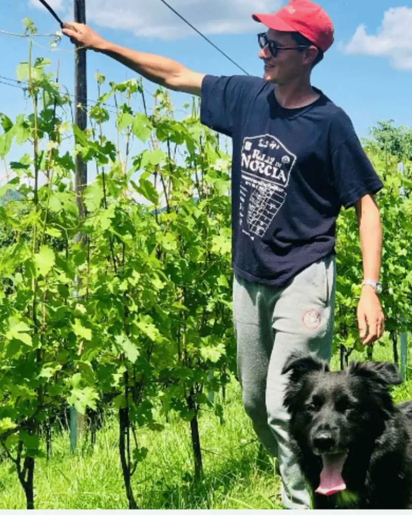 roggero-vini-vineyard-piedmont.webp