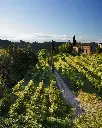 de-stefani-winery-venice-italy.webp