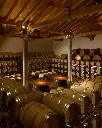 de-stefani-winery-wine-cellar-venice-italy.webp