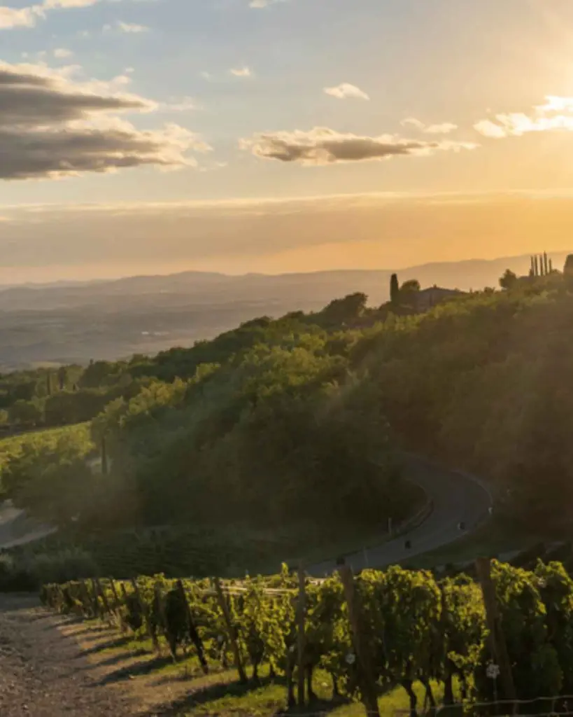 tuscan-landscape-vineyards.webp