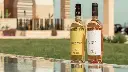 masseria-borgo-dei-trulli-wines.webp