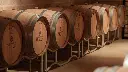 masseria-borgo-dei-trulli-wine-cellar.webp