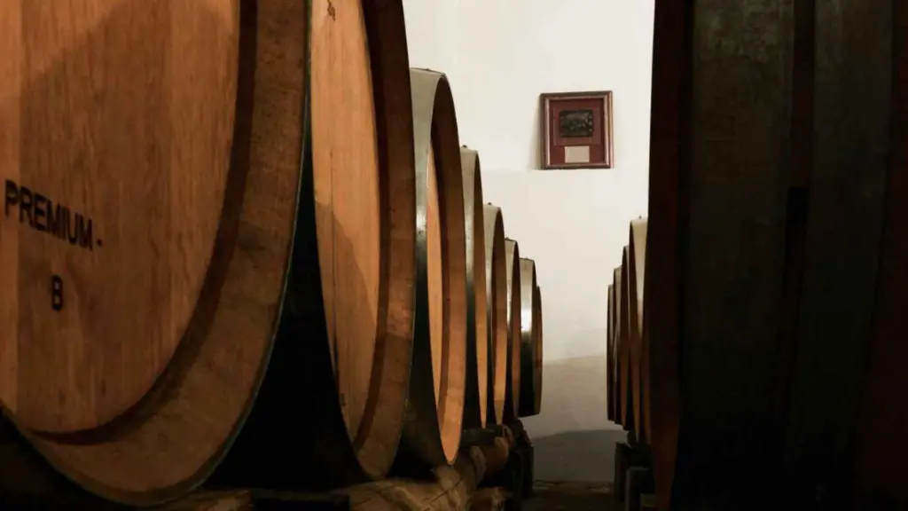 de-bacco-barrel-room.webp
