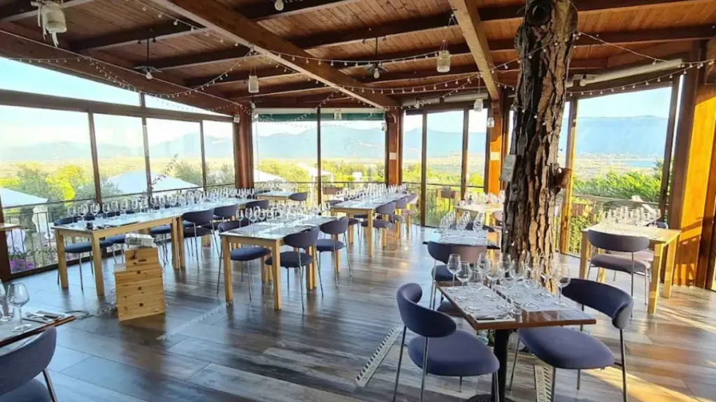 sorrentino-vini-tasting-room.webp