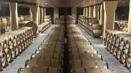 France, Bordeaux, Saint-Emilion and Pomerol: Chateaux, tastings, lunch, and WSET-certified guide