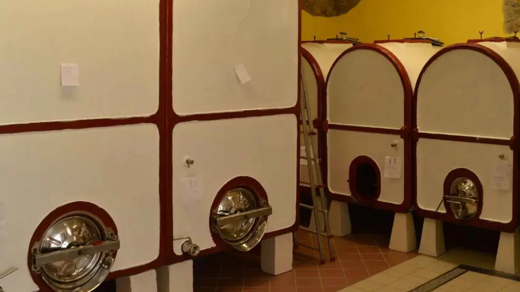 cantine-colonna-wine-cellar-italy.webp