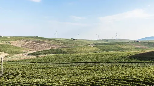 Italy, Sicily, Trapani - Blindfolded Wine Tasting with Game and Gift in Marsala