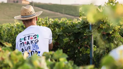 Italy, Sicily, Trapani - Blindfolded Wine Tasting with Game and Gift in Marsala