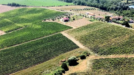 Italy, Tuscany, Siena - Winery Tour with Wine & Food Tasting in Montepulciano
