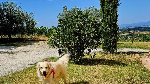 Italy, Tuscany, Siena - Winery Tour with Wine & Food Tasting in Montepulciano