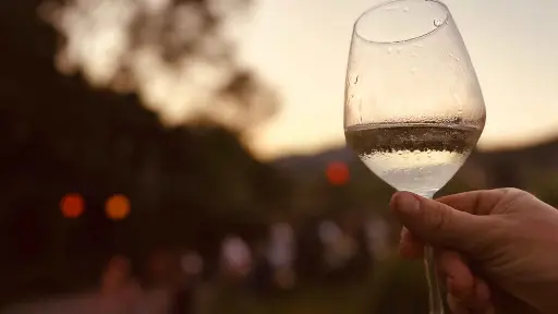 Italy, Liguria, Savona - Winery & Vineyard Tour with Wine Tasting & Food in Albenga