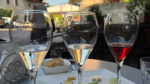 Italy, Piedmont, Cuneo - Wine Tasting with Snacks in Neive, the heart of Langhe