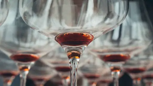 Italy, Piedmont, Cuneo - Wine Tasting with Snacks in Neive, the heart of Langhe
