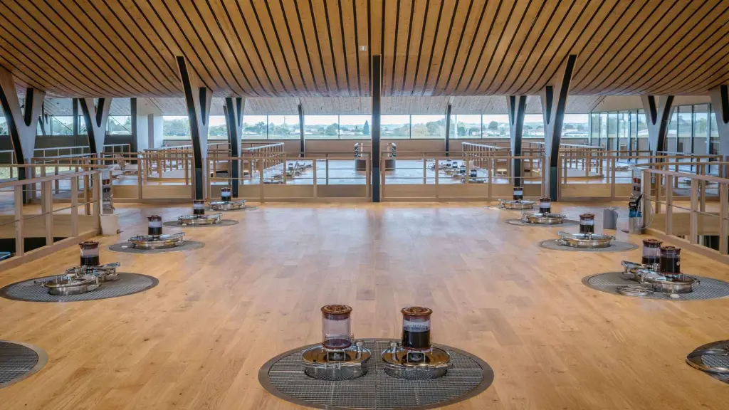 tour-saint-emilion-medoc-visit-cellar.webp