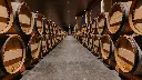 private-tour-saint-emilion-medoc-visit-tasting-barells.webp