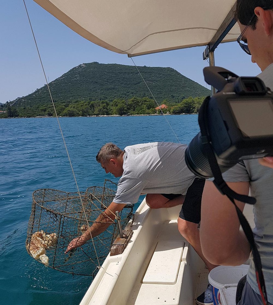 Dubrovnik Premium Wine - Ston Oysters and Wine – Private Half Day Tour